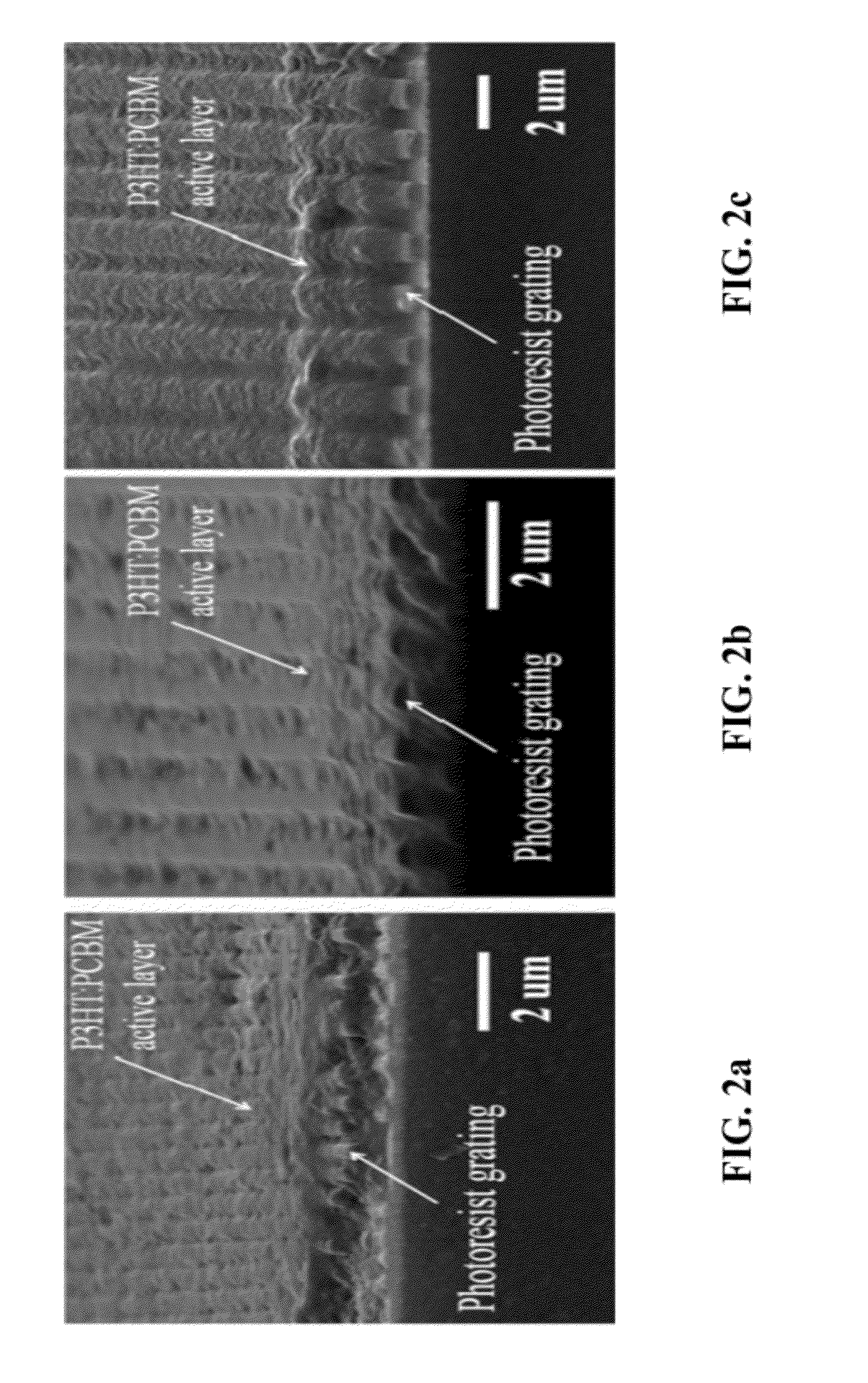 Textured Micrometer Scale Templates as Light Managing Fabrication Platform for Organic Solar Cells
