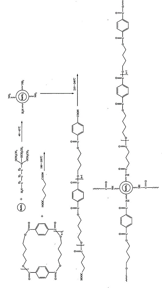 Production method for nylon lace