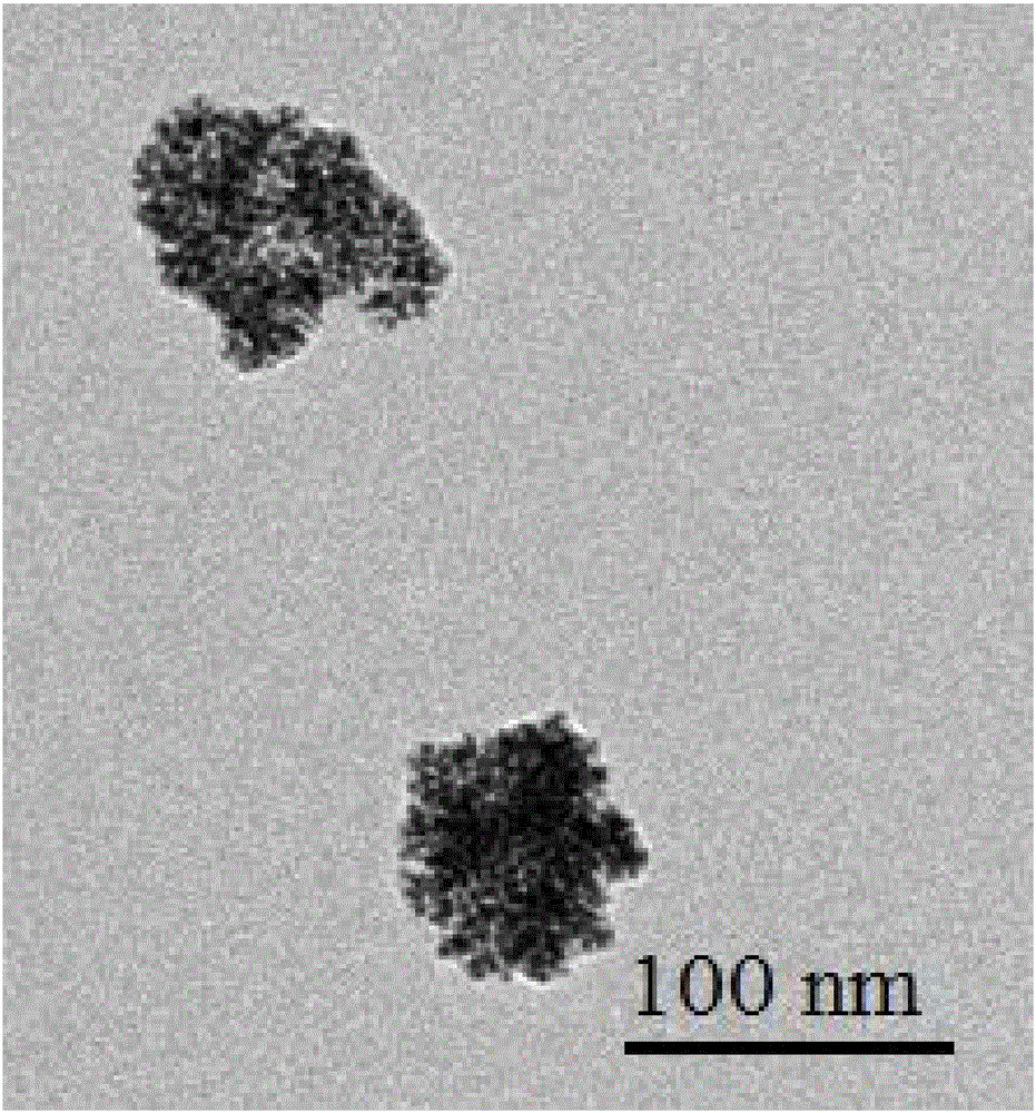 Method for self-assembling and synthesizing spherical gold nanoparticles by using bacitracin as template