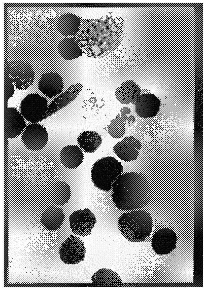 Method of differentiating erythrocyte progenitor cells