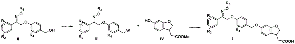 Novel oxime ether derivative and preparation method thereof and application of derivative by serving as drug