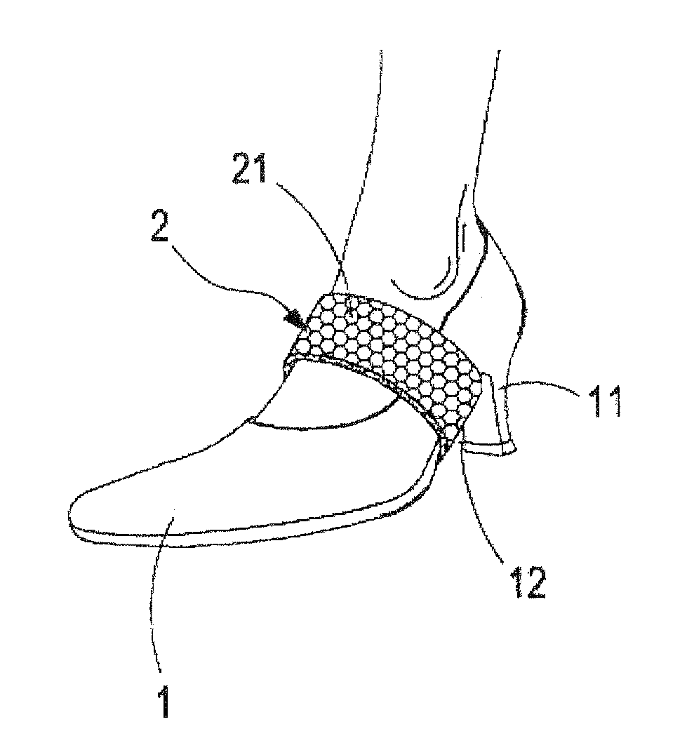 Shoe molding and fixing structure