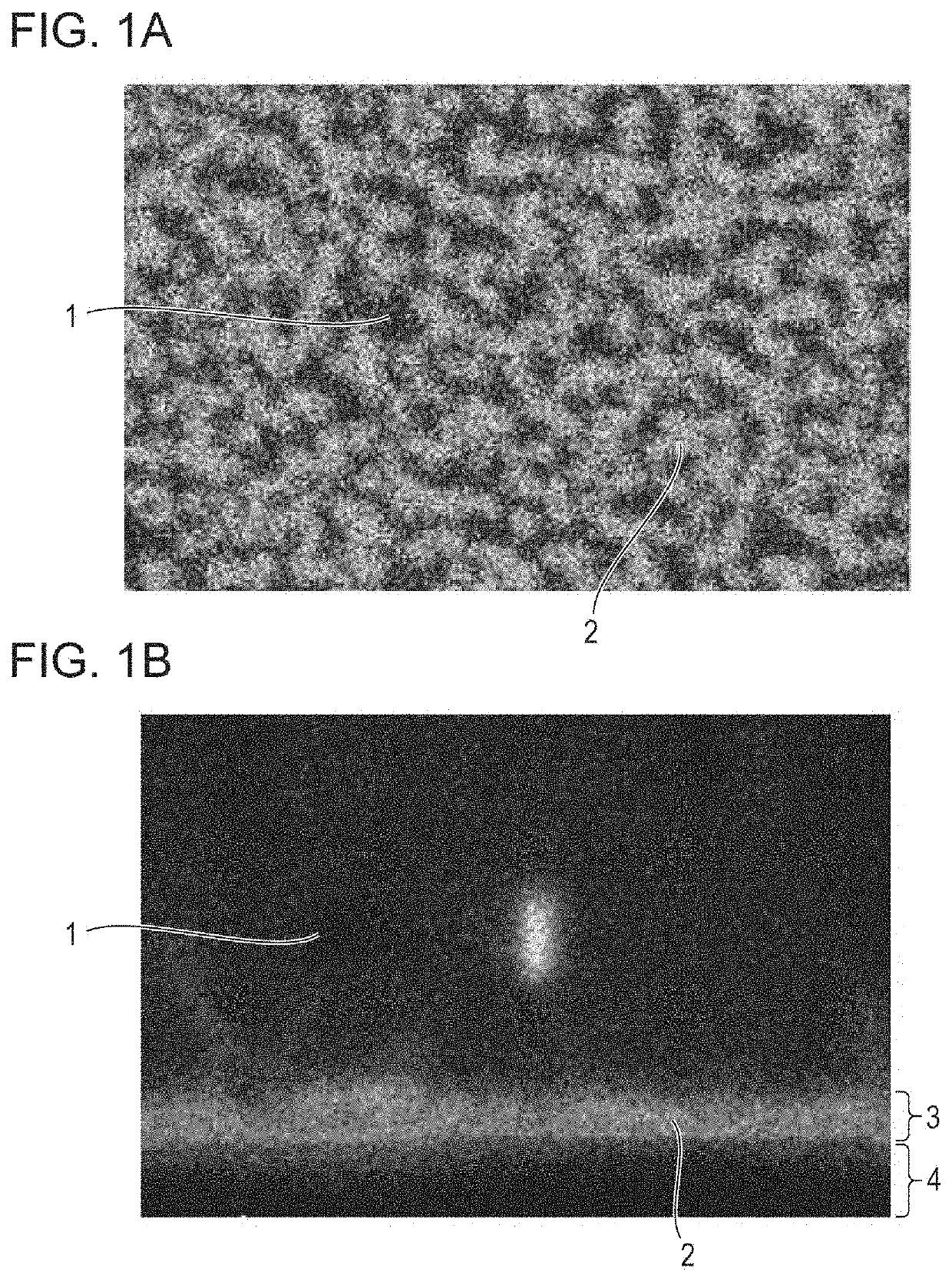 Scintillator plate, method for manufacturing scintillator plate, and radiation detection apparatus