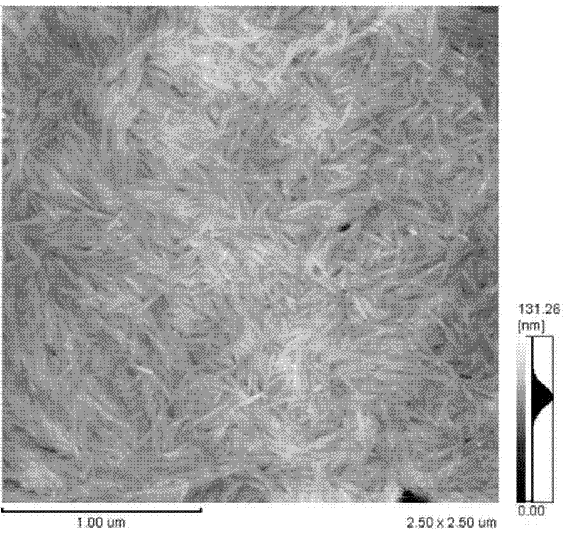 Cellulose nano-whisker (CNW) compounded bi-component terpenyl waterborne polyurethane and preparation method and use thereof