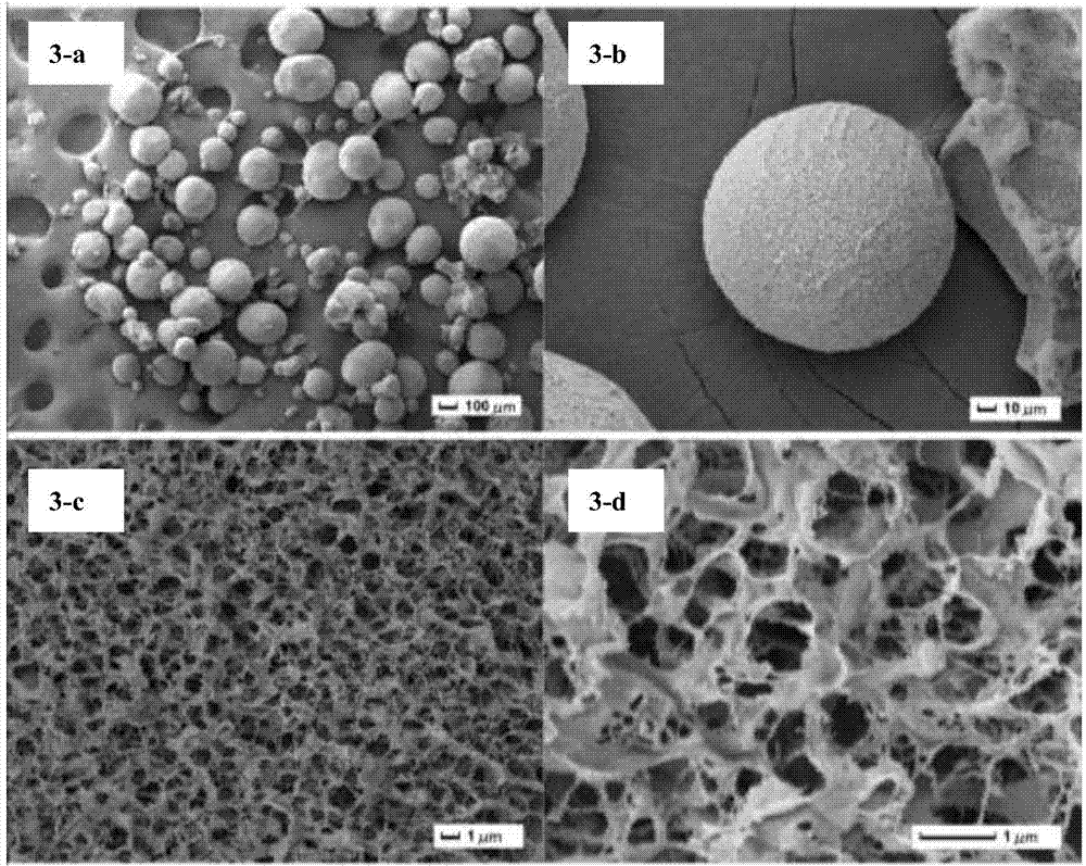 Preparation method of porous chitosan-based microspheres