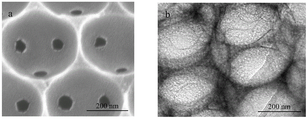 Preparation method of 3D ordered macroporous polyaniline (OM PANI)/TiO2 composite photocatalytic material and application thereof
