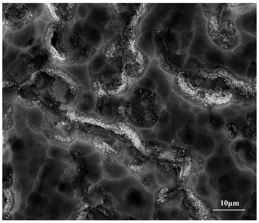 Method for in-situ generation of aluminum nitride layer on aluminum matrix based on ion nitriding technology