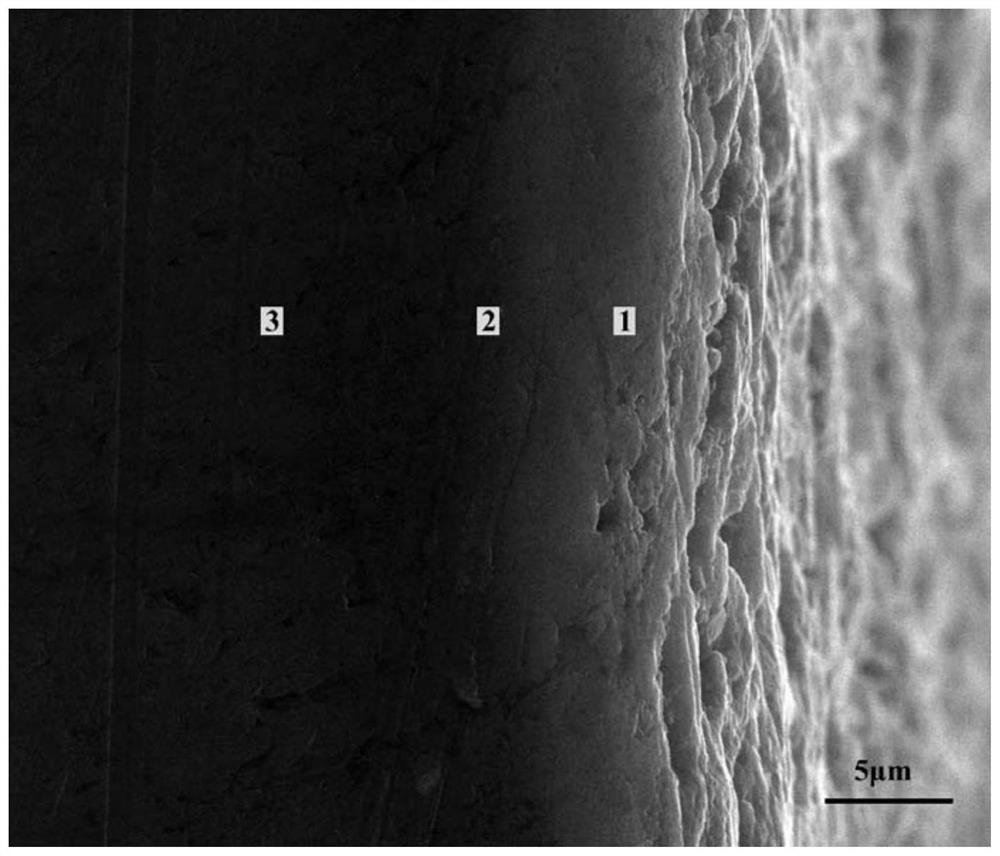 Method for in-situ generation of aluminum nitride layer on aluminum matrix based on ion nitriding technology