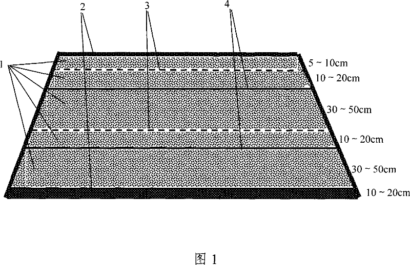 Vegetable waste organic fertilizer and preparation method thereof