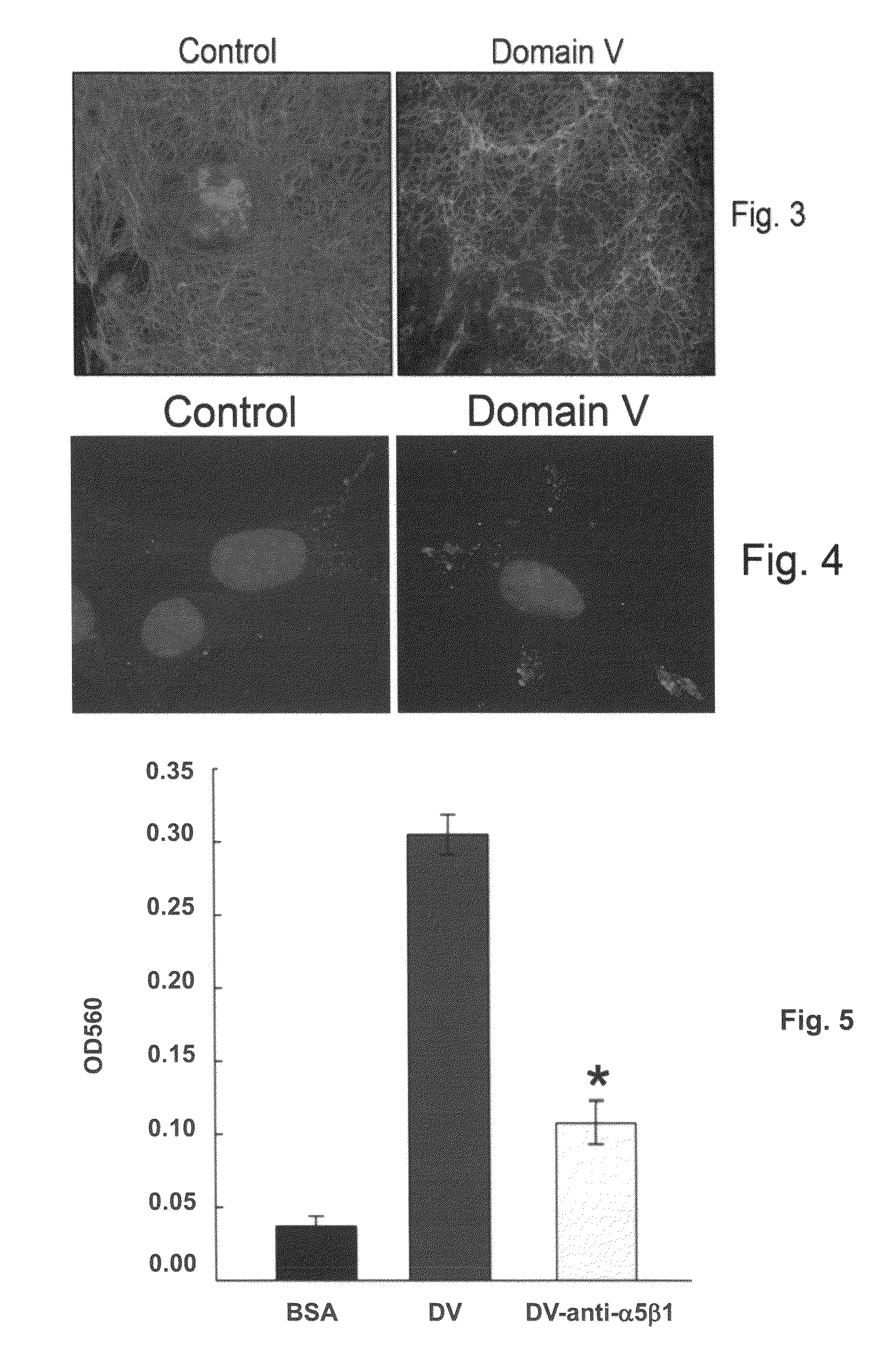 Treatment of stroke using domain V of perlecan