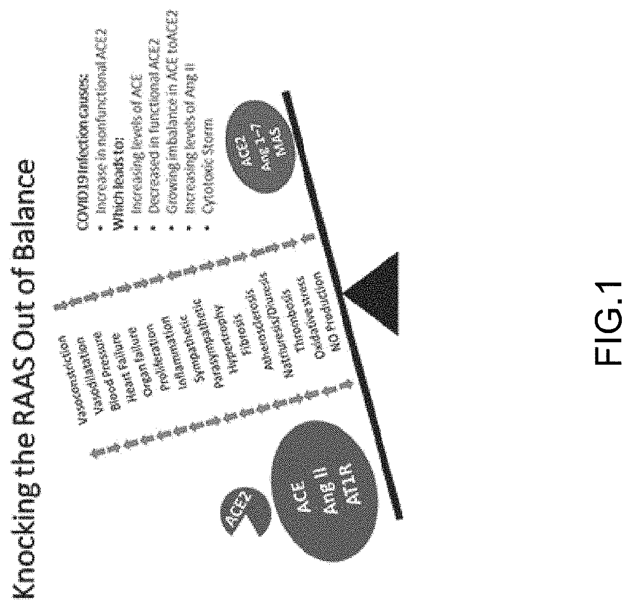 Treatment for sars-cov-2 and other coronaviruses