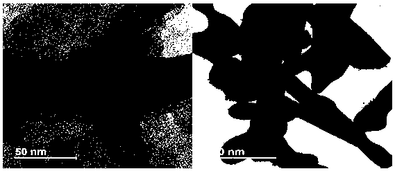 Catalyst carrier and application thereof