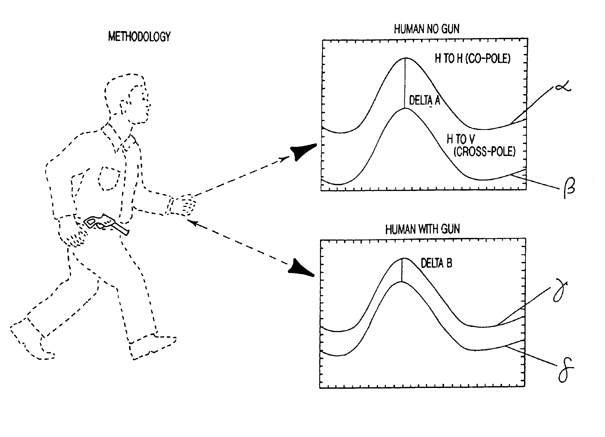 Signal processing for object detection system