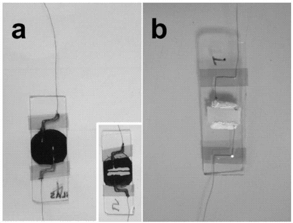 Photoelectric logic door based on stannic oxide nano-particles and preparation method thereof