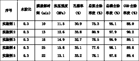 Water purifying particle for concrete and preparation method thereof