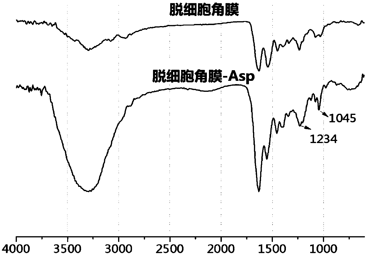 Modified acellular corneal stroma and modification method thereof