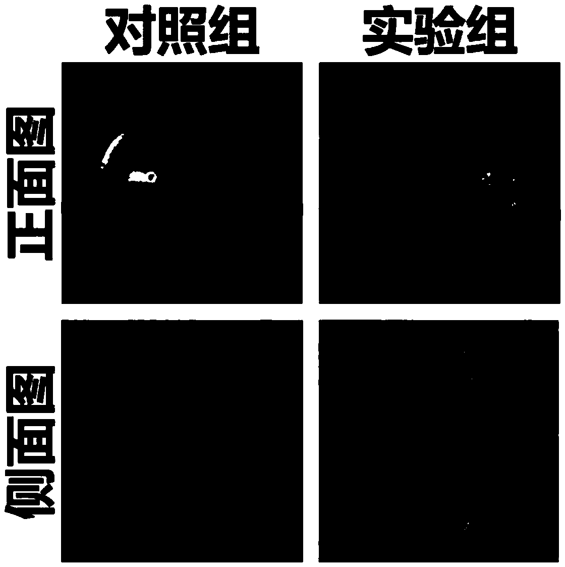 Modified acellular corneal stroma and modification method thereof