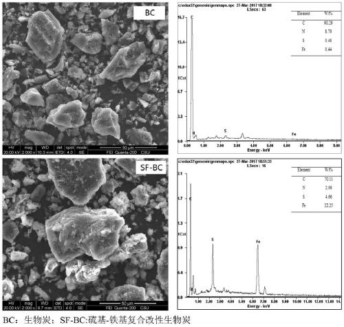 Preparation method of heavy metal cadmium stabilizer sulfur-iron-based composite modified biochar and modified biochar