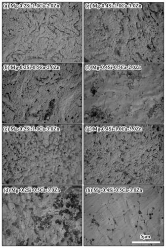 Mg-Si-Ca-Zn series magnesium alloy and preparation method and application thereof