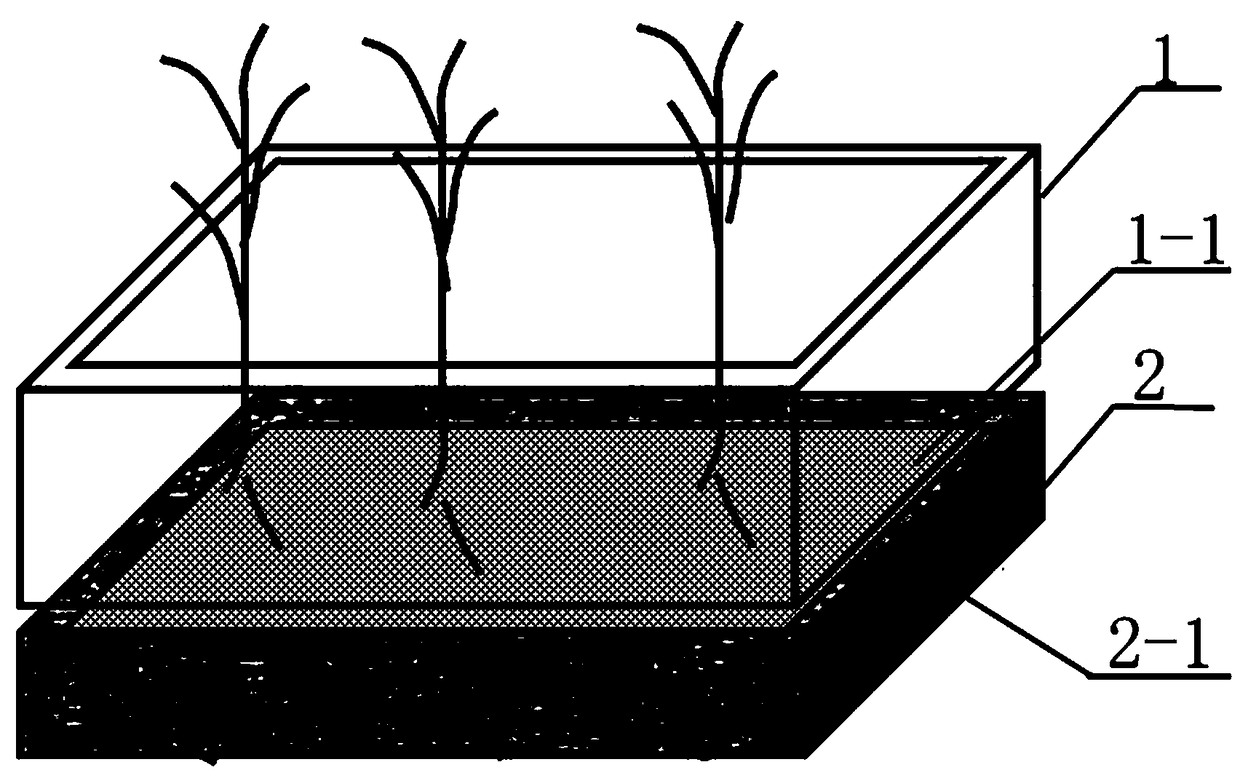 Seedling culture device and method for culturing mycorrhizal seedlings
