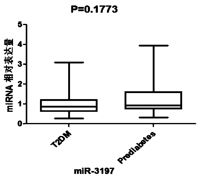 MiR-145-5P molecular marker for detecting type 2 diabetes mellitus, and amplification primers and application of miR-145-5P molecular marker