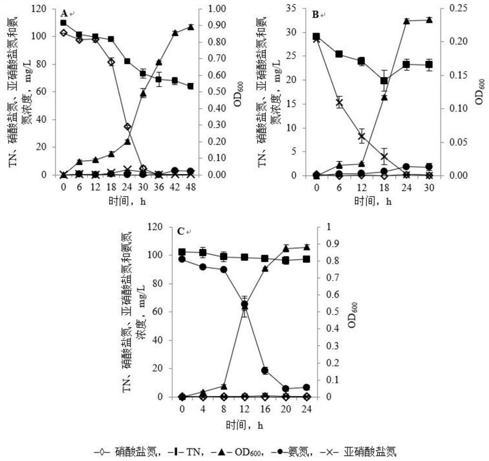 A strain of Pseudomonas stutzeri with aerobic denitrification function and its application