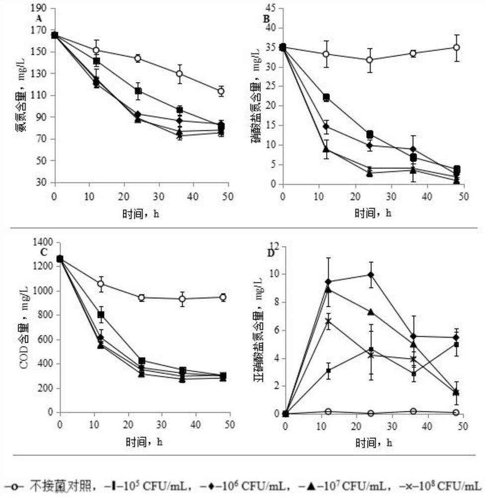 A strain of Pseudomonas stutzeri with aerobic denitrification function and its application