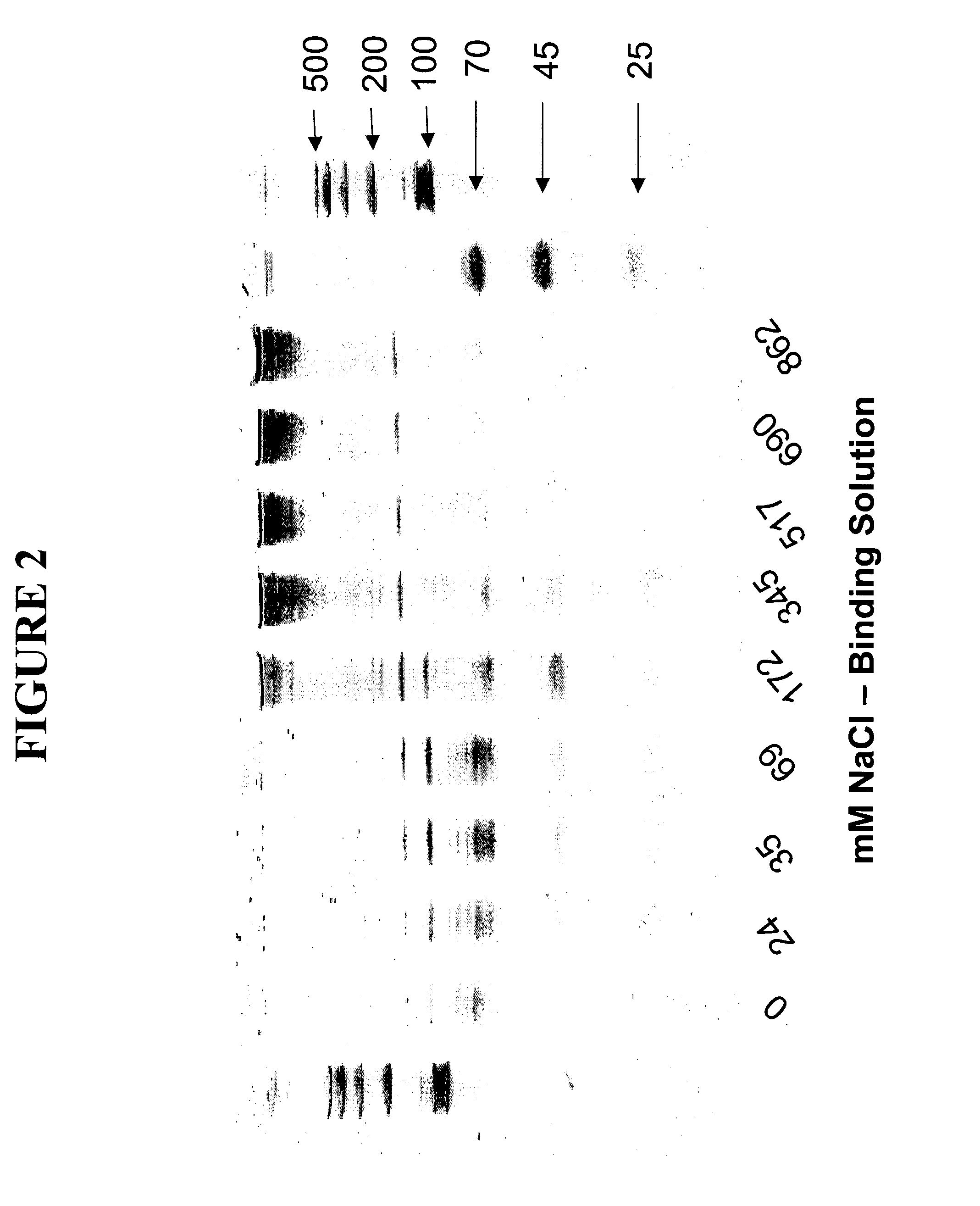 Small RNA purification