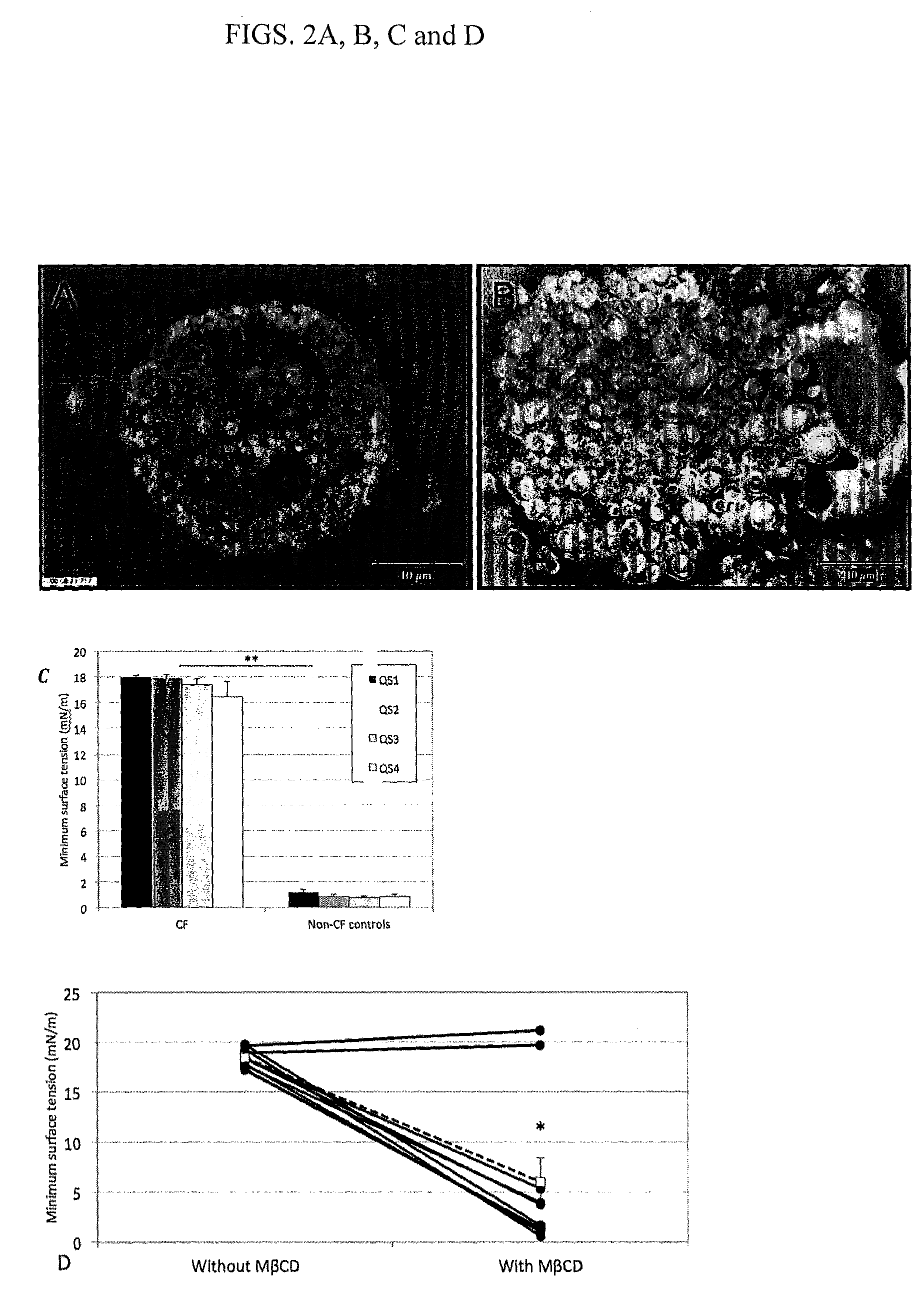 Method of treating pulmonary surfactant dysfunction or respiratory distress syndrome by administering cyclodextrin or a derivative thereof