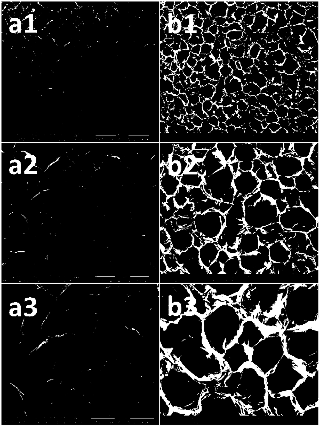 Bionic composite scaffold material doped with graphene and establishment method of bionic composite support material