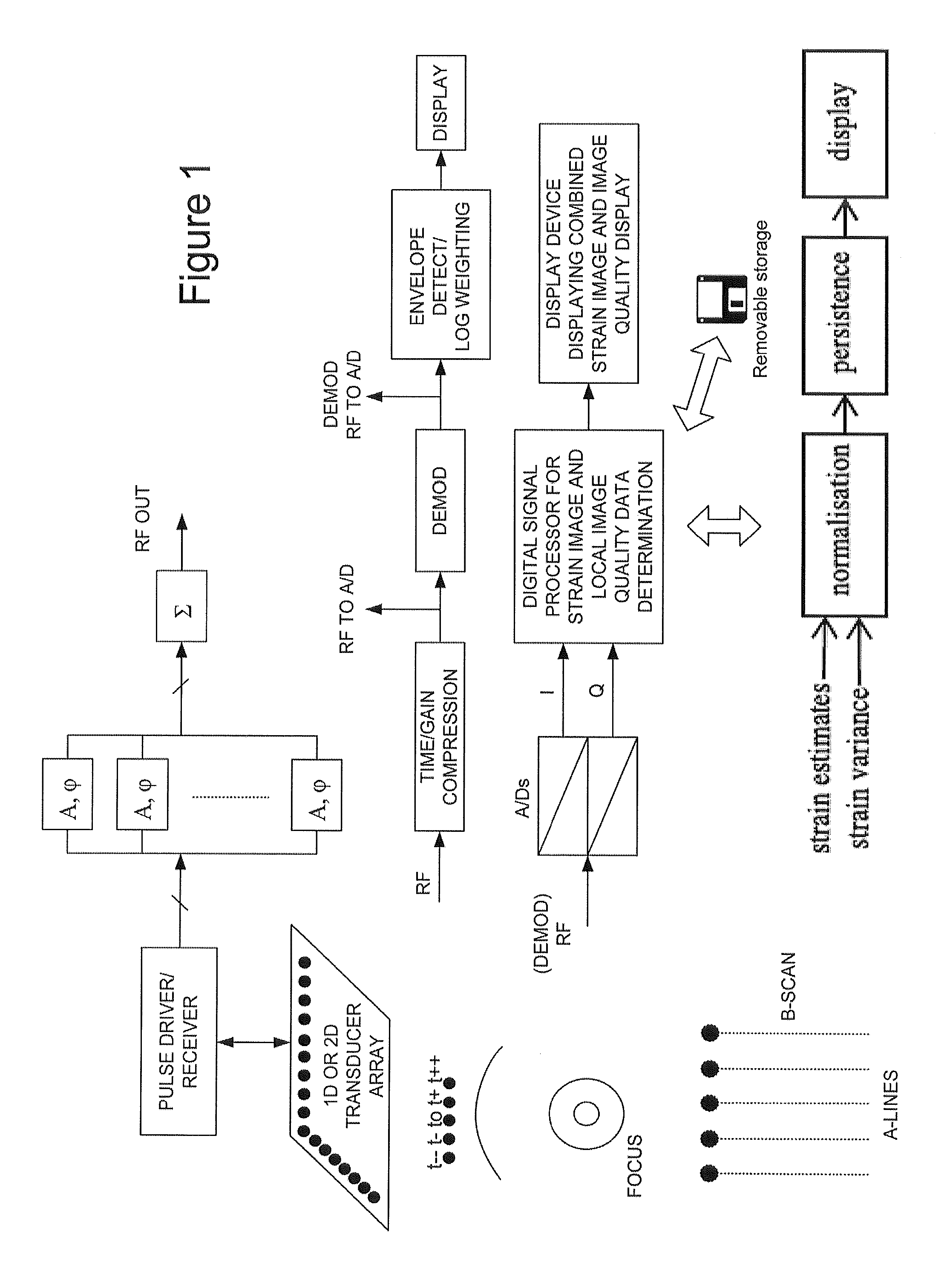 Strain Image Display Systems