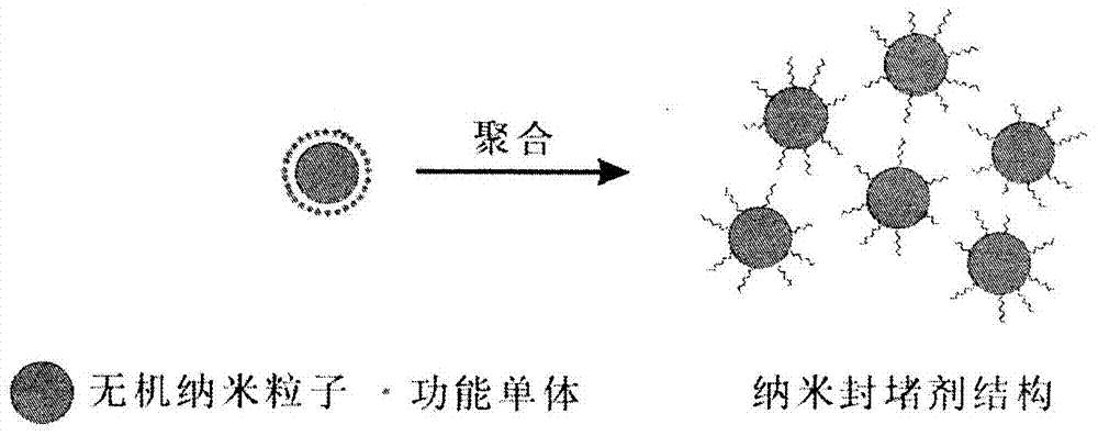 Bionic nano plugging agent for drilling fluid and preparation method thereof