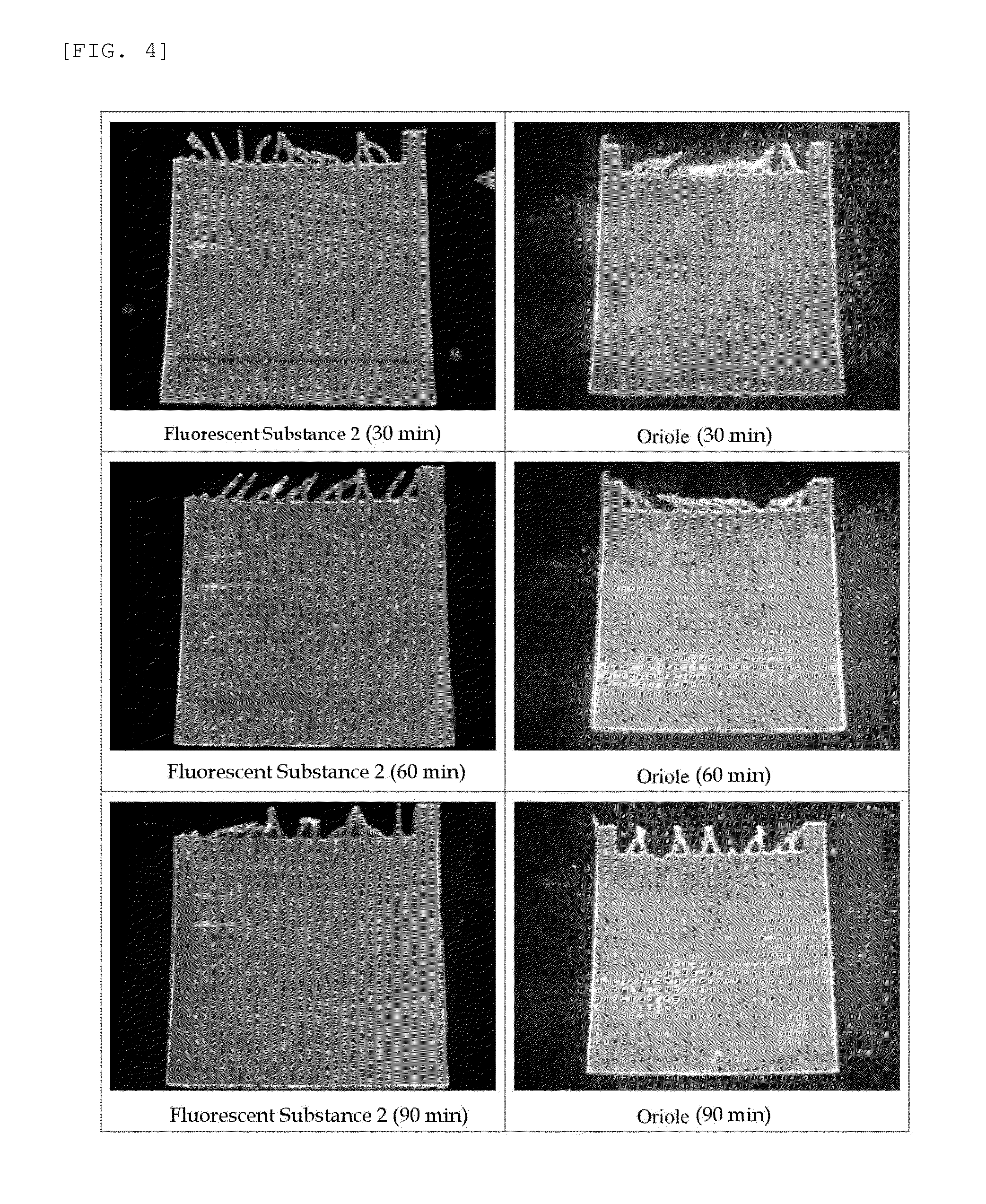 Method for analysis of protein and analytical reagent