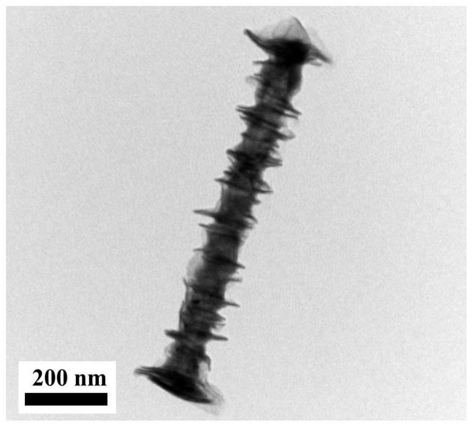 Bismuth telluride nanowire with zigzag structure and preparation method of bismuth telluride nanowire