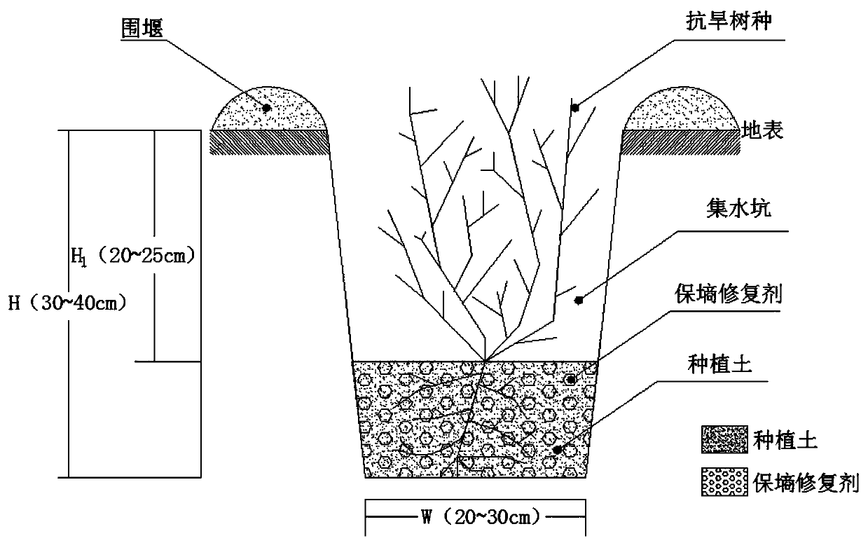 Non-irrigation forestation revegetation method for arid desert areas