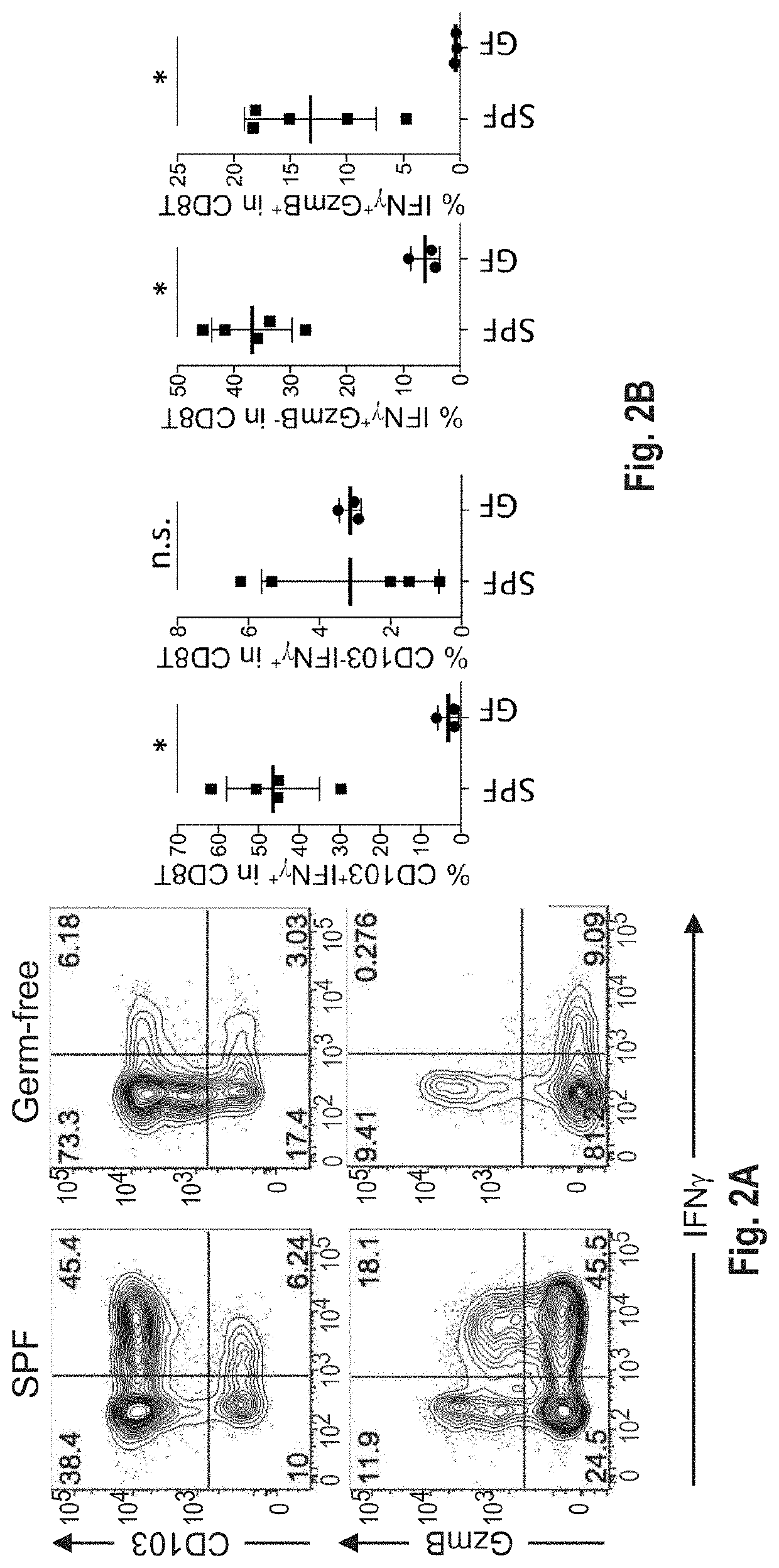 Compositions and methods for the induction of cd8+ t-cells