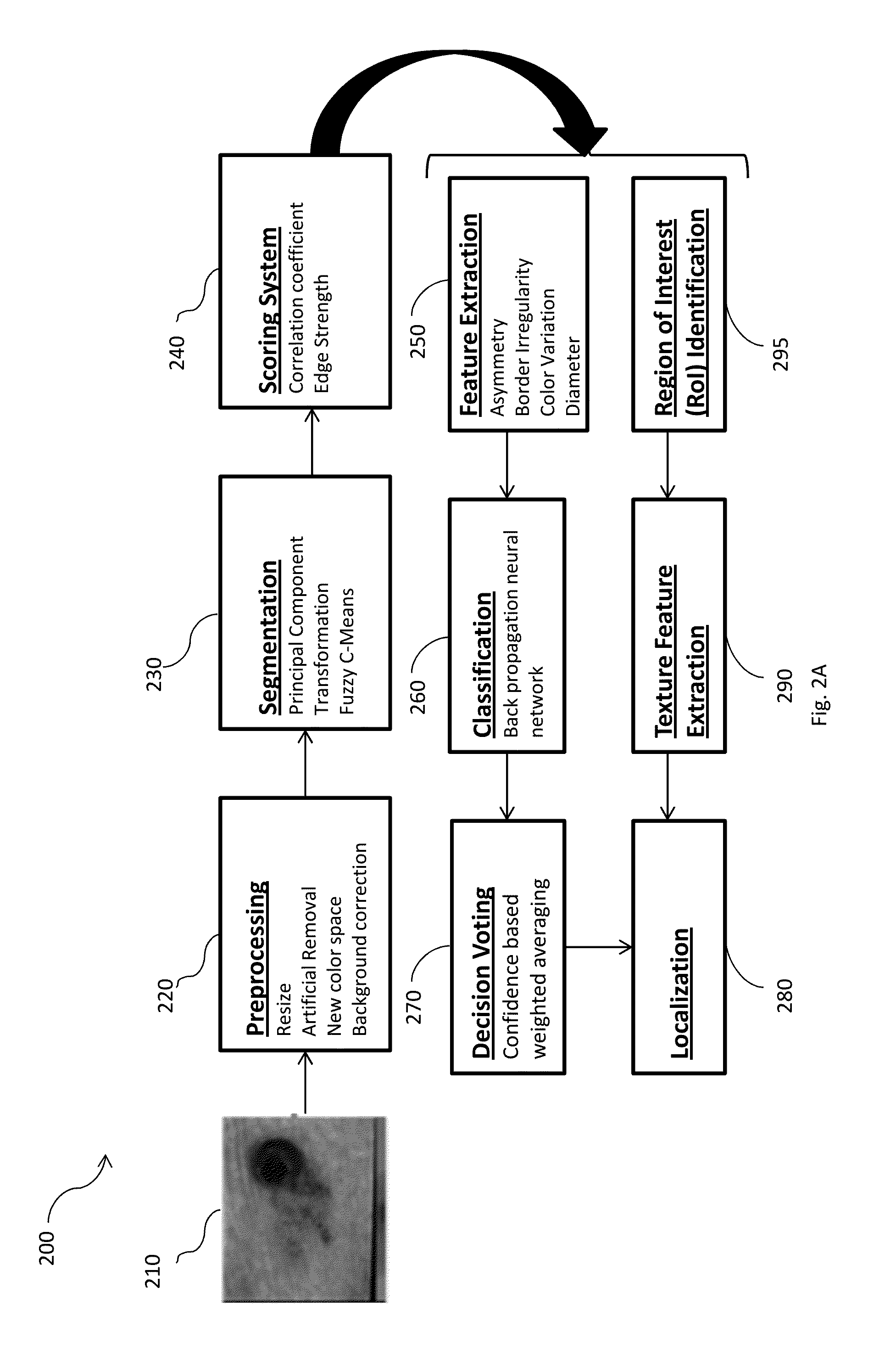 System and method for classifying a skin infection