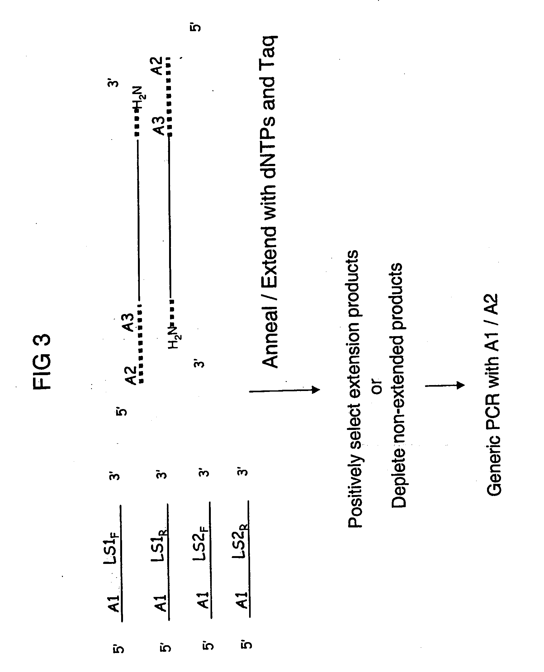 Methods for genotyping selected polymorphism