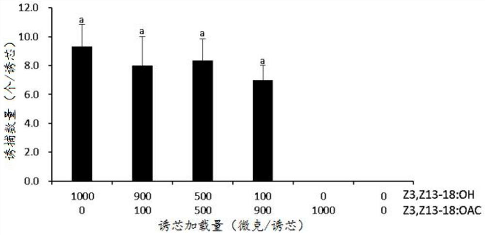 Application of Z3, Z13-18: OH as sex attractant in prevention and treatment of Pennisetum sinese