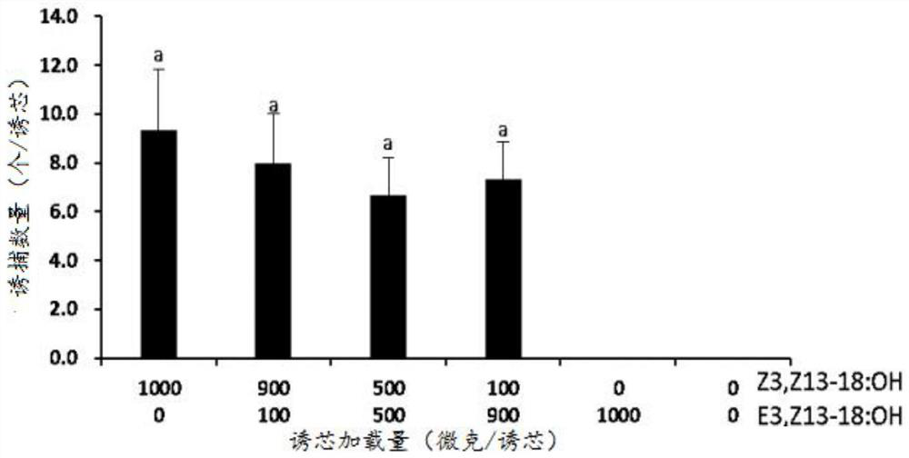 Application of Z3, Z13-18: OH as sex attractant in prevention and treatment of Pennisetum sinese