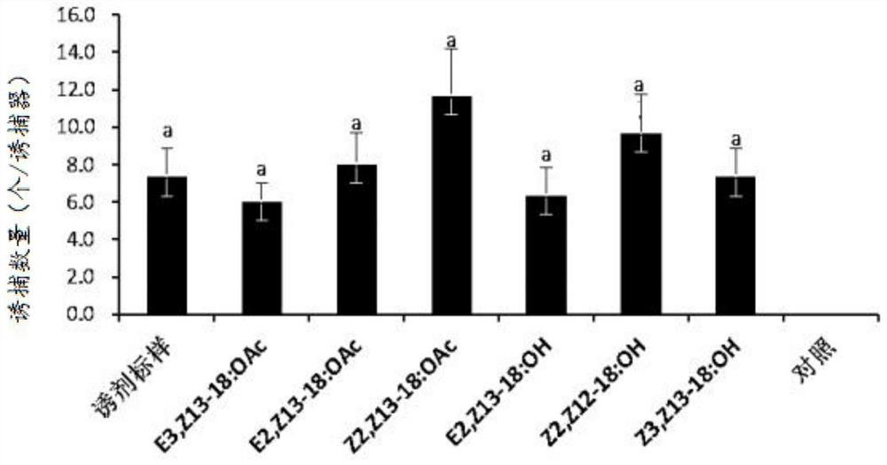 Application of Z3, Z13-18: OH as sex attractant in prevention and treatment of Pennisetum sinese