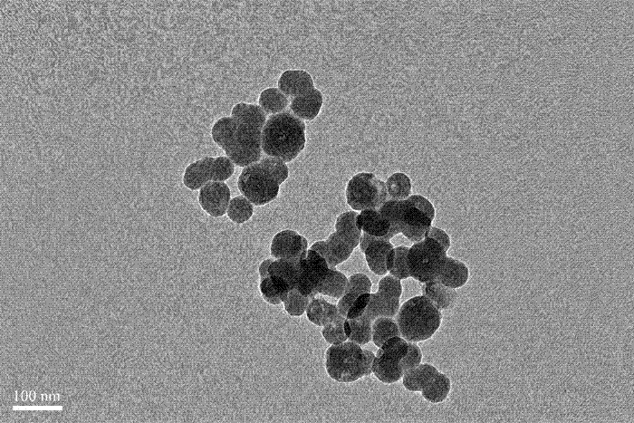 Targeted lipid-silica complex carrying doxorubicin and its preparation and application