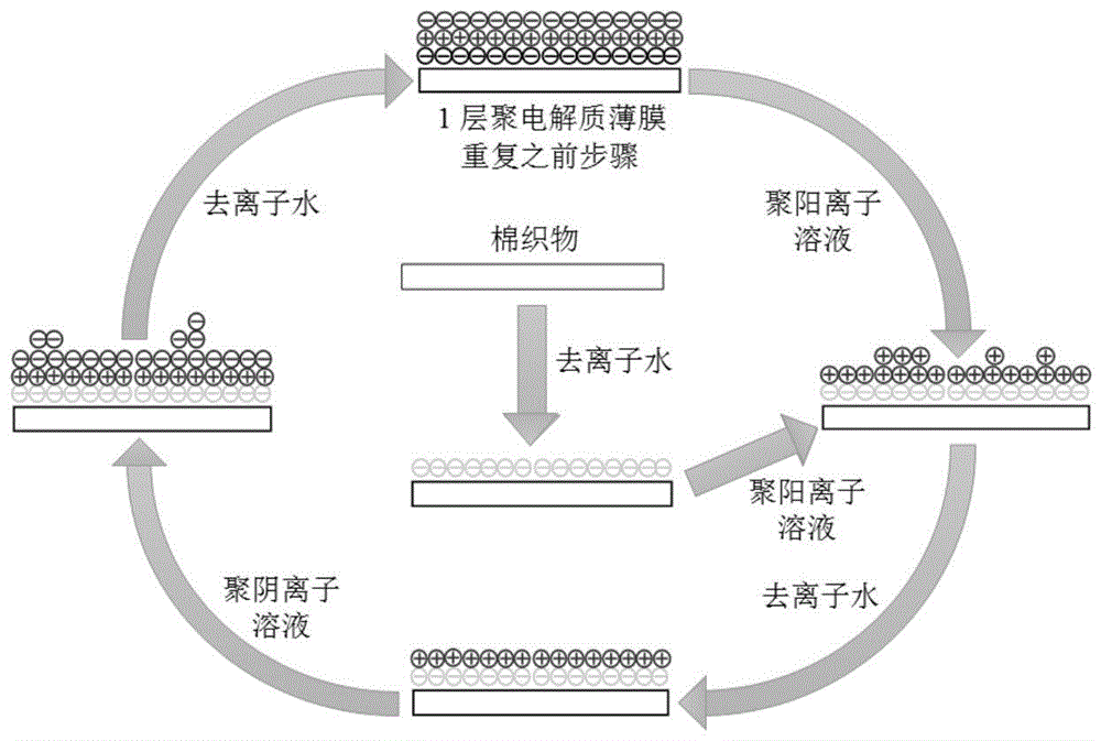 Quaternized ammonium halide modified chitosan and method for preparing antibacterial cotton fabric