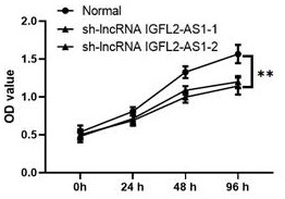 Application of lncRNA IGFL2-AS1 as a diagnostic marker for colon cancer