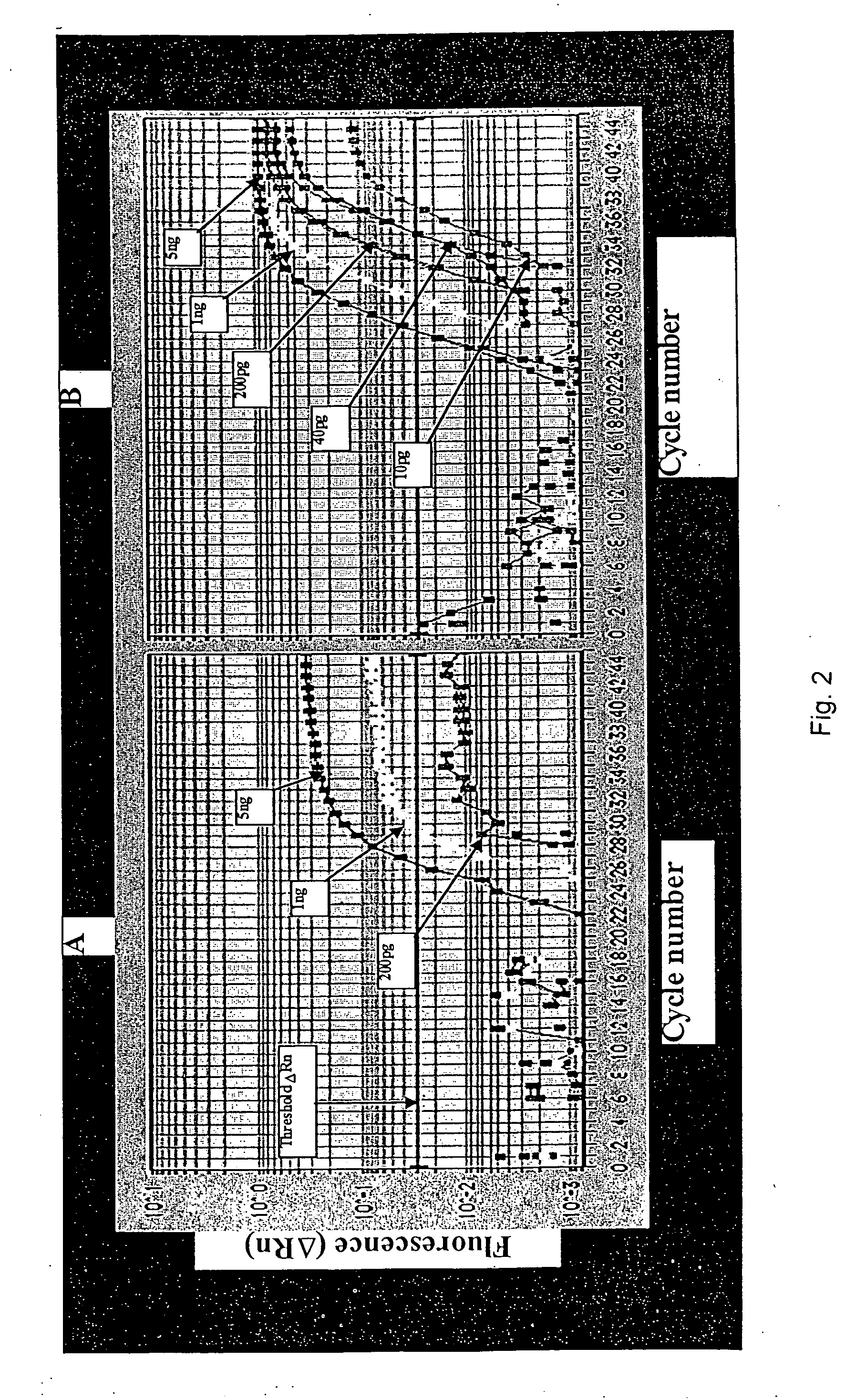 PCR method and related apparatus