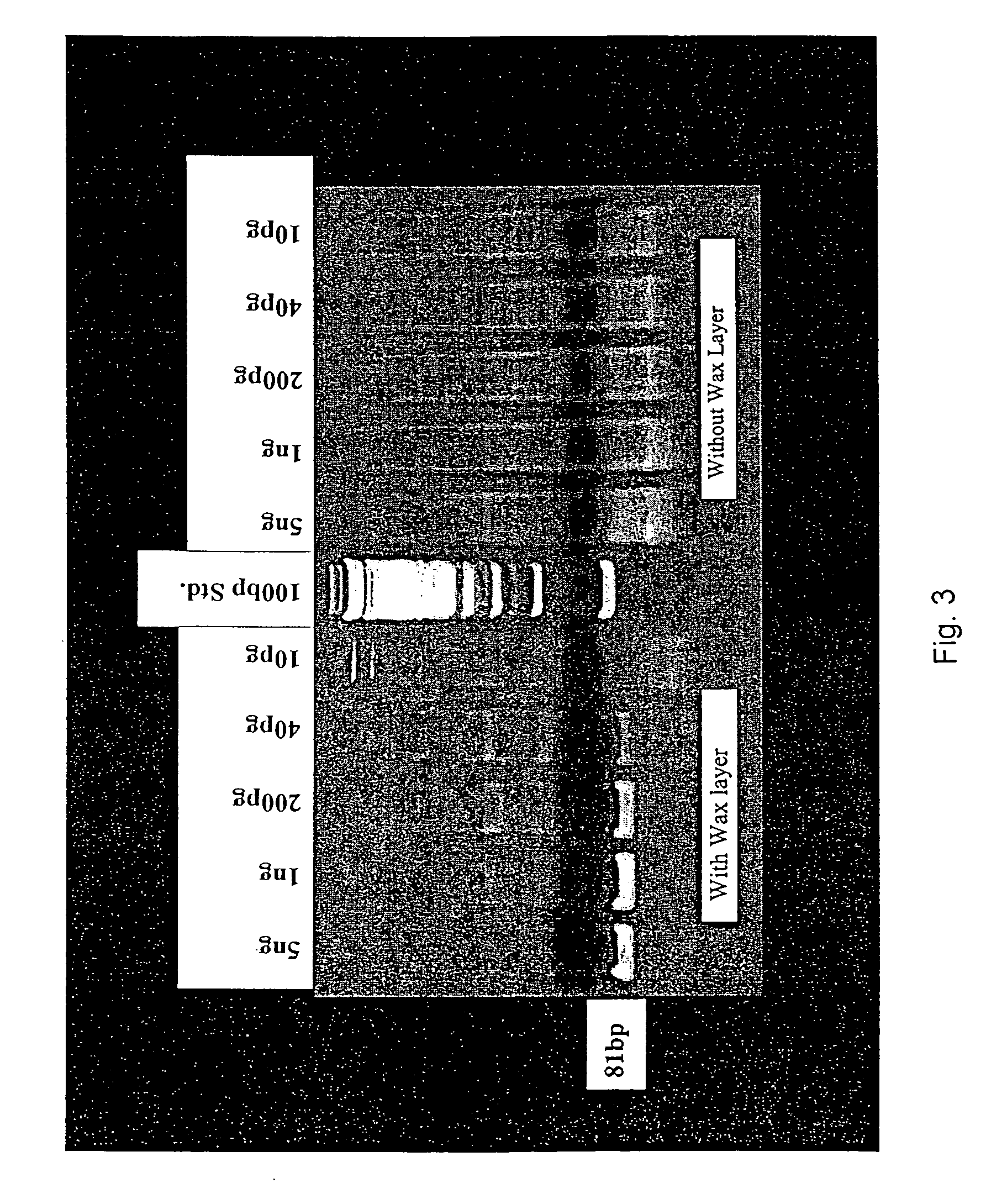 PCR method and related apparatus