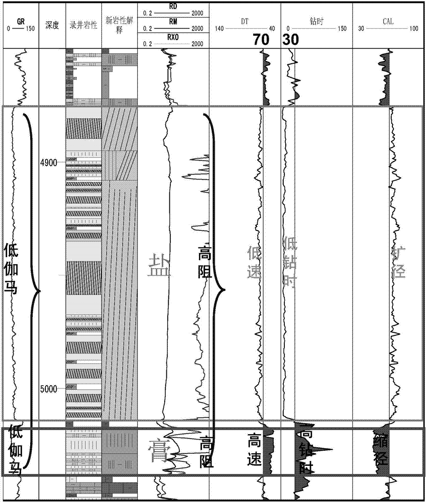 Identification and distribution prediction method of deep-buried and extruded complex gypsum-salt rock formations in foreland basins
