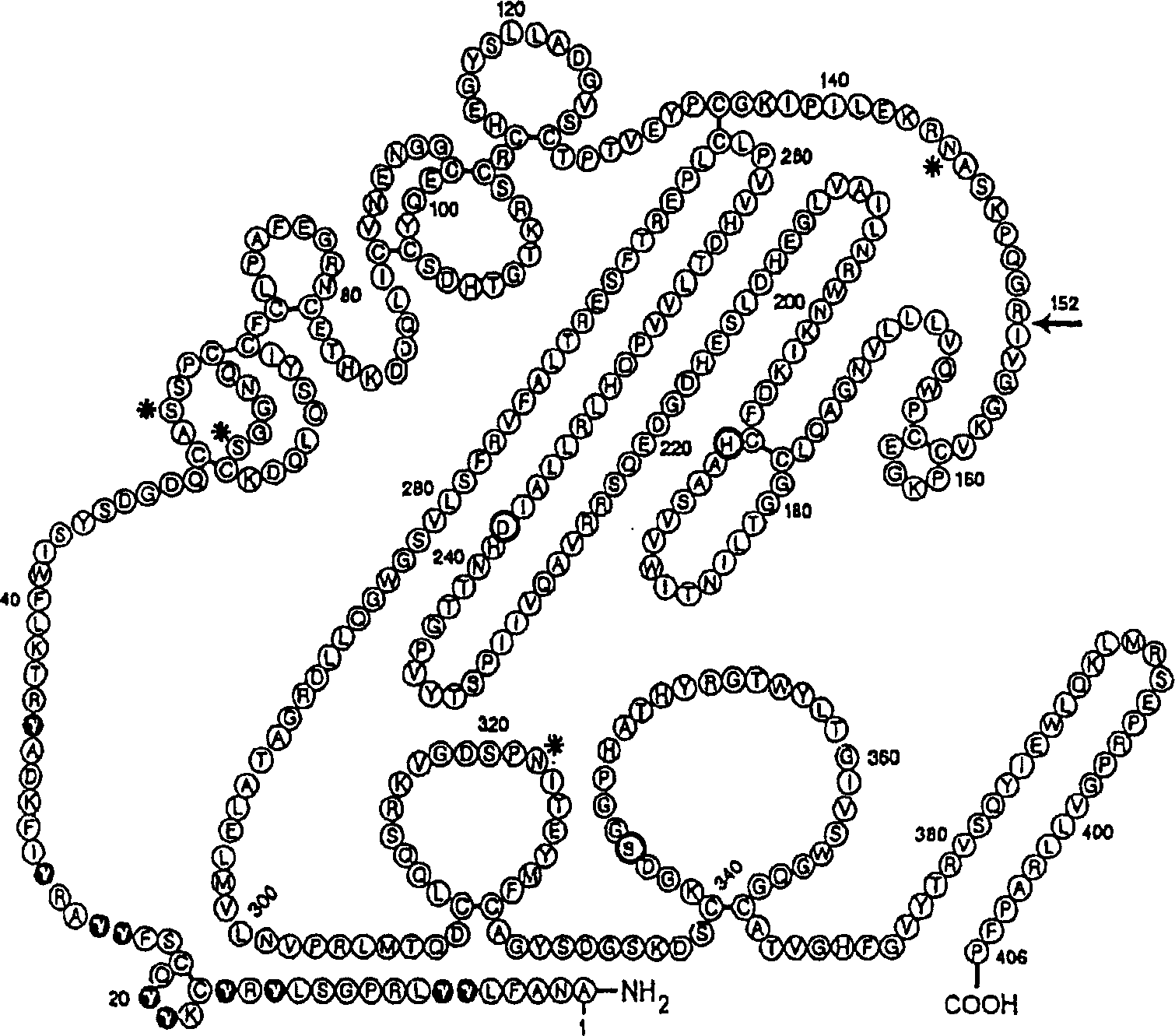 Coagulation factor vii derivatives