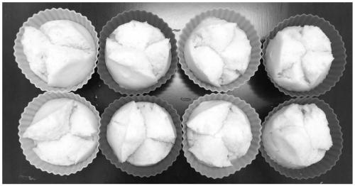 Preparation method of fermented rice cakes and fermented rice cake products