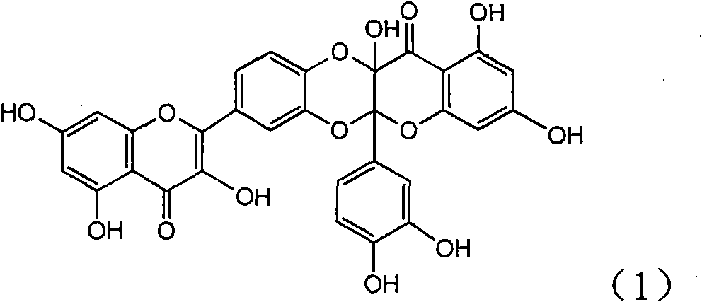 Application of quercetin dimer flavone for preparing anti-oxidation medicines